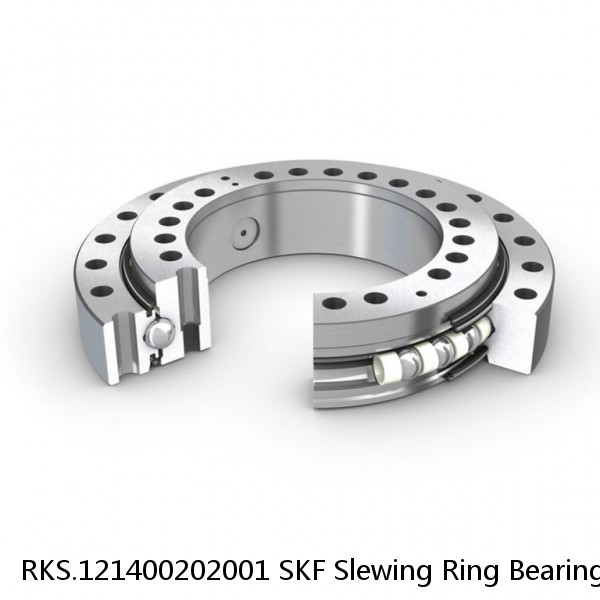 RKS.121400202001 SKF Slewing Ring Bearings