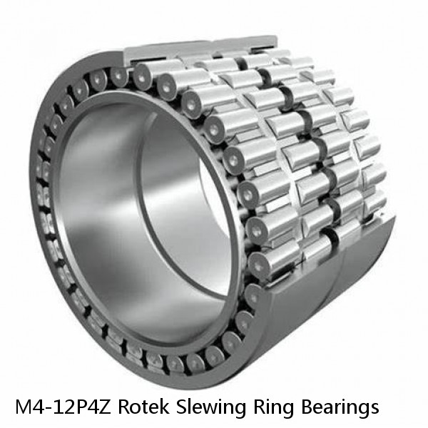 M4-12P4Z Rotek Slewing Ring Bearings