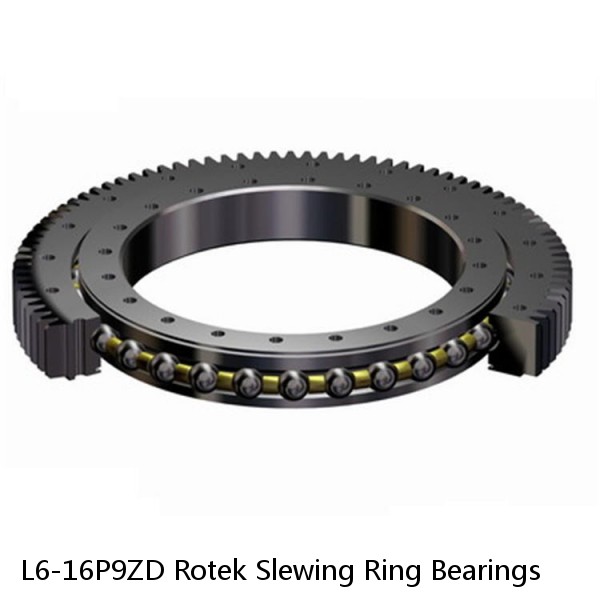 L6-16P9ZD Rotek Slewing Ring Bearings