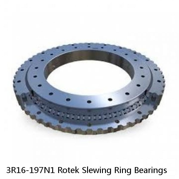 3R16-197N1 Rotek Slewing Ring Bearings