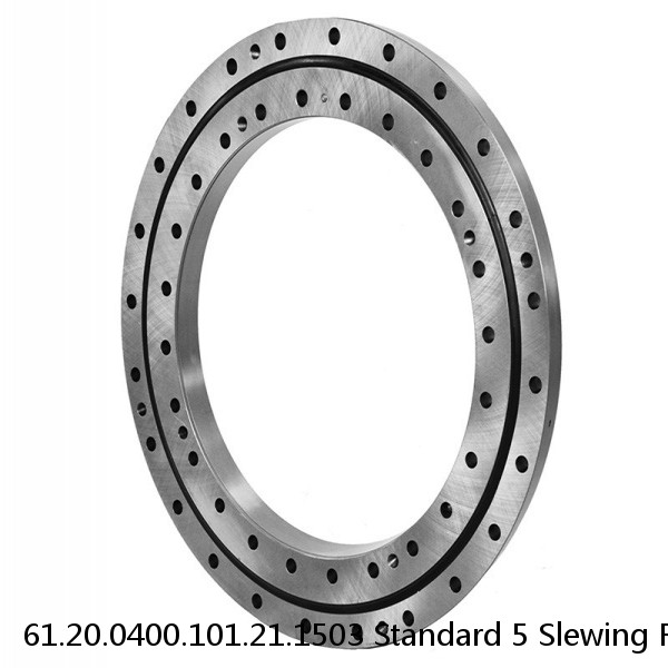 61.20.0400.101.21.1503 Standard 5 Slewing Ring Bearings