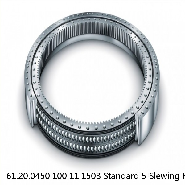 61.20.0450.100.11.1503 Standard 5 Slewing Ring Bearings