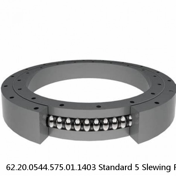 62.20.0544.575.01.1403 Standard 5 Slewing Ring Bearings