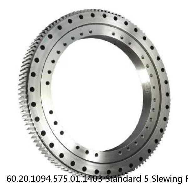 60.20.1094.575.01.1403 Standard 5 Slewing Ring Bearings