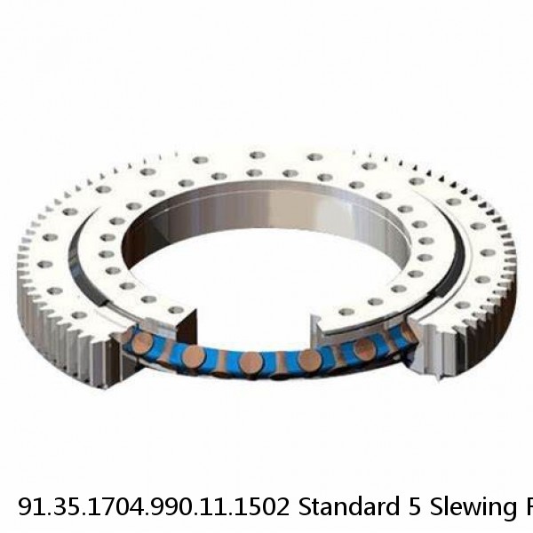 91.35.1704.990.11.1502 Standard 5 Slewing Ring Bearings
