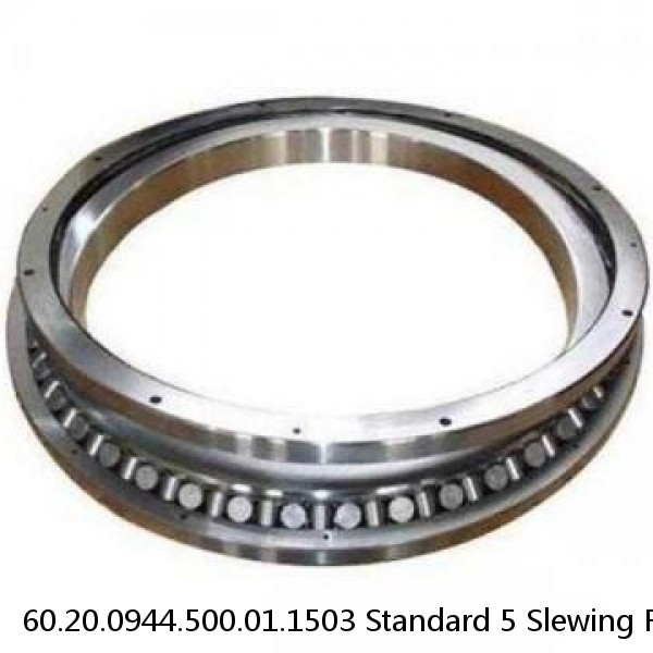 60.20.0944.500.01.1503 Standard 5 Slewing Ring Bearings