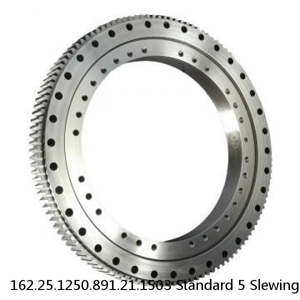 162.25.1250.891.21.1503 Standard 5 Slewing Ring Bearings