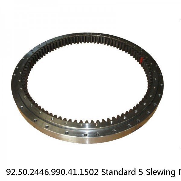 92.50.2446.990.41.1502 Standard 5 Slewing Ring Bearings
