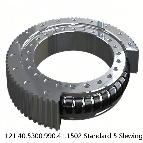 121.40.5300.990.41.1502 Standard 5 Slewing Ring Bearings