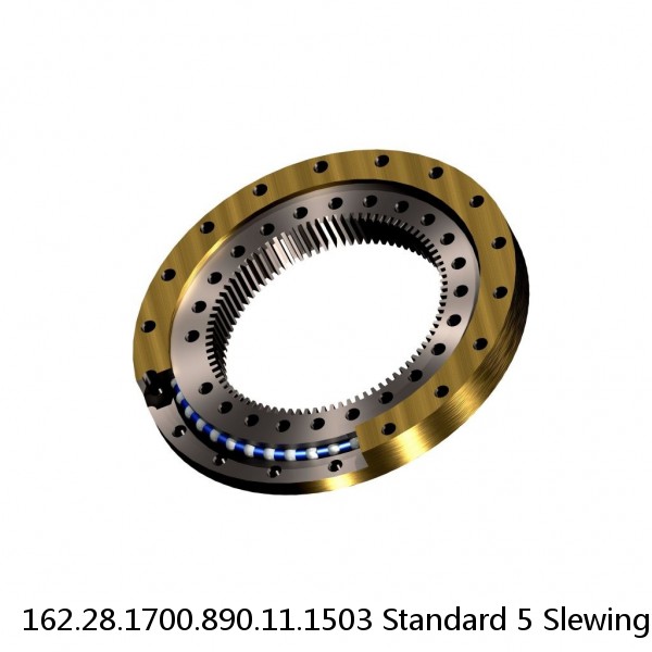 162.28.1700.890.11.1503 Standard 5 Slewing Ring Bearings #1 image