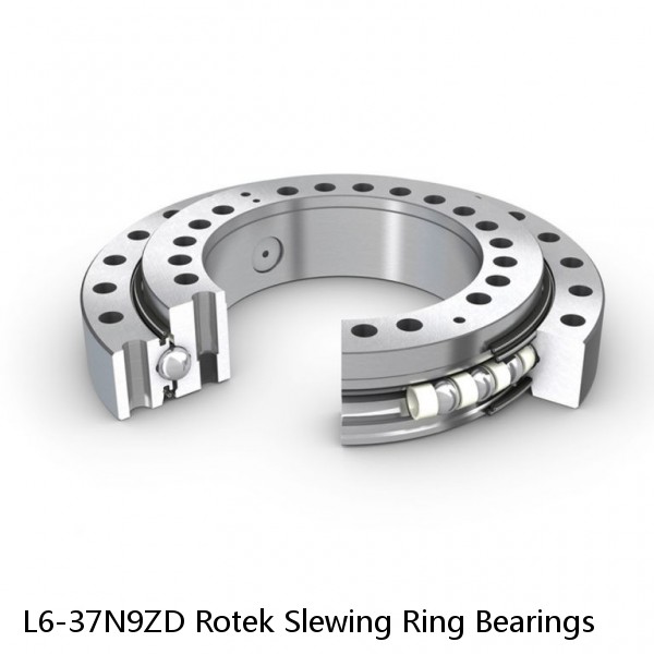 L6-37N9ZD Rotek Slewing Ring Bearings #1 image
