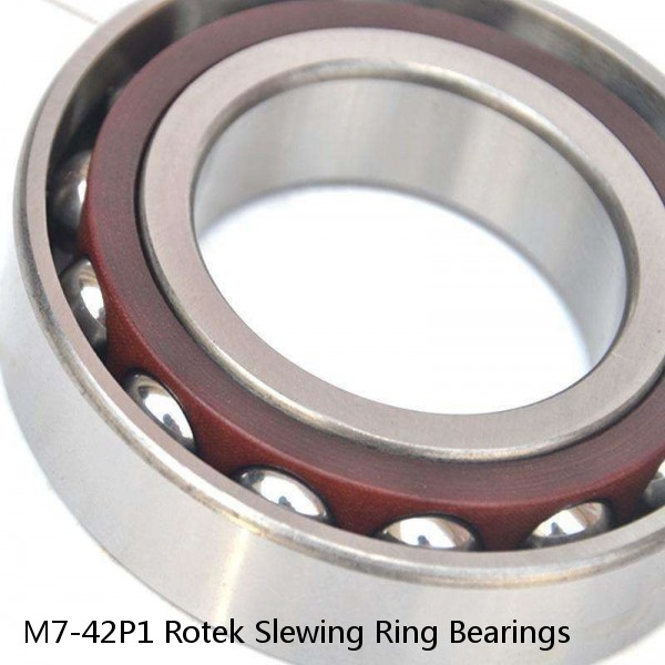 M7-42P1 Rotek Slewing Ring Bearings #1 image