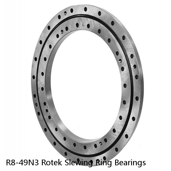 R8-49N3 Rotek Slewing Ring Bearings #1 image