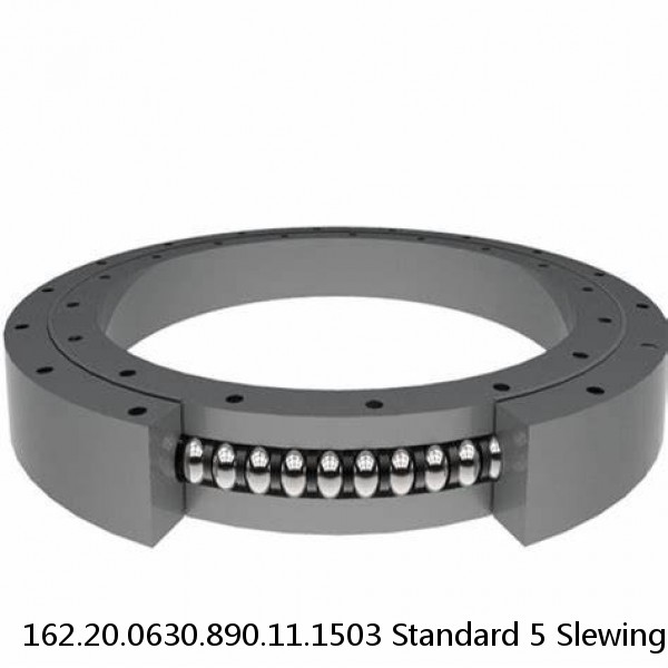 162.20.0630.890.11.1503 Standard 5 Slewing Ring Bearings #1 image