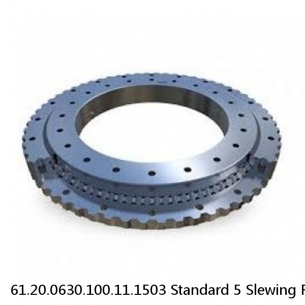 61.20.0630.100.11.1503 Standard 5 Slewing Ring Bearings #1 image
