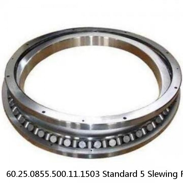 60.25.0855.500.11.1503 Standard 5 Slewing Ring Bearings #1 image