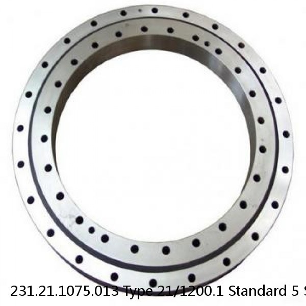 231.21.1075.013 Type 21/1200.1 Standard 5 Slewing Ring Bearings #1 image