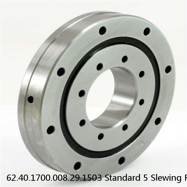 62.40.1700.008.29.1503 Standard 5 Slewing Ring Bearings #1 image