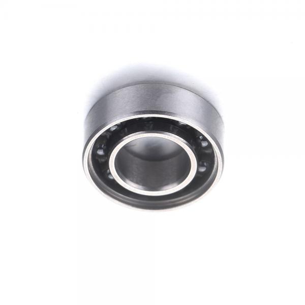 Ceramic Bearing High Temperature and Corrosion Resistant 6204ce #1 image